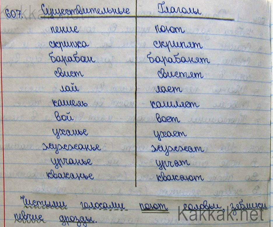 Русский язык 5 класс упр